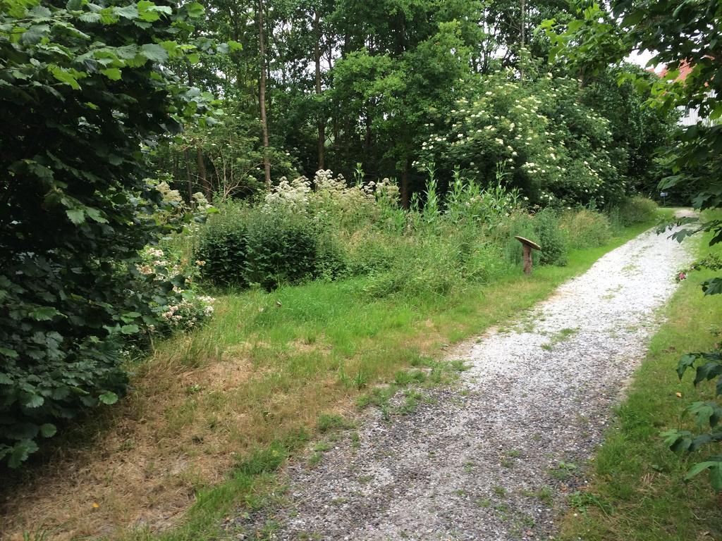 B&B 't Buitenkansje Almere Eksteriør bilde